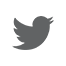 Добавить в Twitter